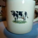 European 10 PC ENAMEL COW SET, MILK PITCHER, COFFEE POT AND CUPS