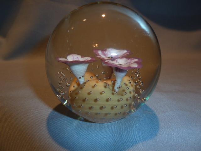 WEST VIRGINIA GLASS MEDIUM PINK FLOWER BUBBLE GLASS PAPERWEIGHT