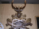 VINTAGE GERMAN BLACK FORREST HUNTERS CUCKOO LARGE WALL CLOCK