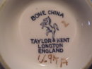 TAYLOR &KENT LTD ENGLISH BONE CHINA CUP & SAUCER MULT-FLORAL