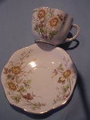 TAYLOR &KENT LTD ENGLISH BONE CHINA FLUTED CUP & SAUCER MULT-FLORAL