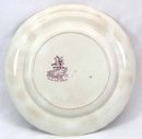 Purple Transferware T MAYER Staffordshire CANOVA Plate