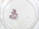Purple Transferware T MAYER Staffordshire CANOVA Plate