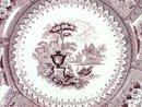 Purple Transferware T MAYER Staffordshire CANOVA Plate