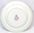 Purple Transferware T MAYER Staffordshire CANOVA Plate