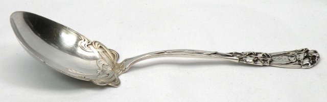 Art Nouveau DURGIN Sterling Berry Casserole Spoon IRIS