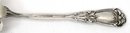 Art Nouveau DURGIN Sterling Berry Casserole Spoon IRIS