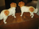 STAFFORDSHIRE ST BERNARD DOGS - PAIR