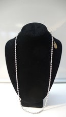 Victorian Sterling Long Chain Necklace