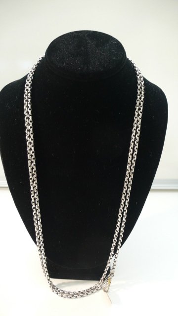 Victorian Sterling Long Guard Chain Necklace
