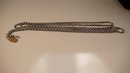 Victorian Sterling Long Guard Chain Necklace