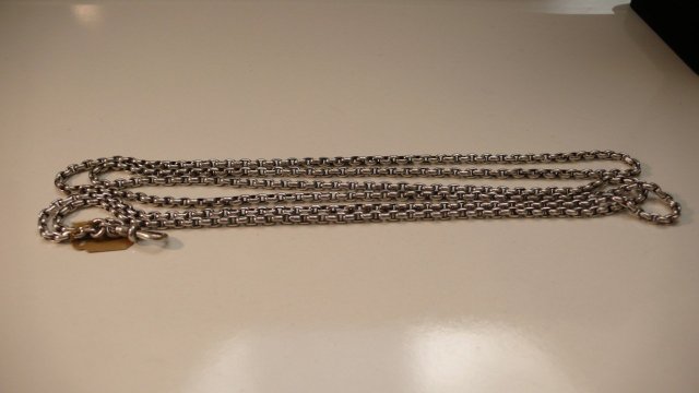 Victorian Sterling Long Guard Chain Necklace
