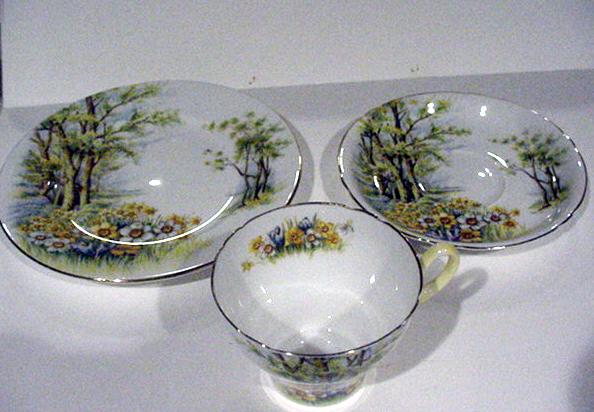 Shelley Daffodil Trio
