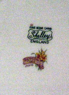 Shelley Daffodil Trio