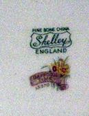 Shelley Daffodil Trio