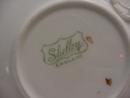 Shelley Oyster Shell Plate: Sydney Harbor