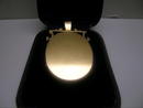 Vict. 15 Ct. Gold Hard Stone Cameo Pendant