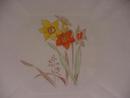 Shelley Narcissus Cake Plate