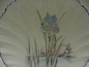 Shelley Oster Shell Plate : Floating Iris