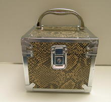 Square Box Metal and Snake Skin Handbag