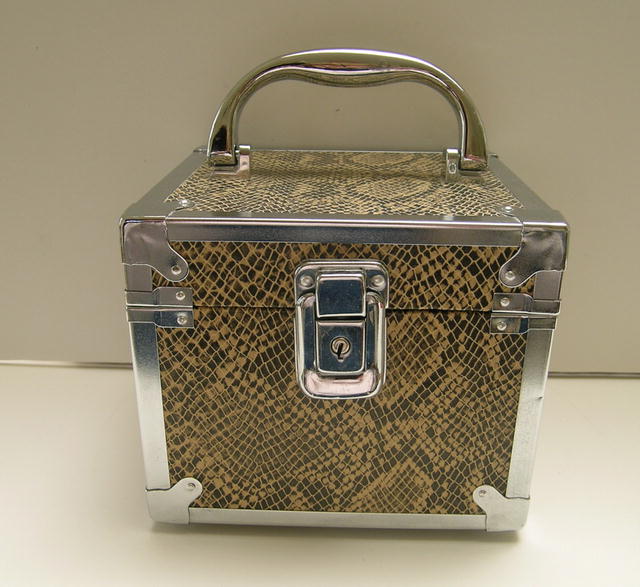 Square Box Metal and Snake Skin Handbag