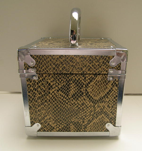 Square Box Metal and Snake Skin Handbag