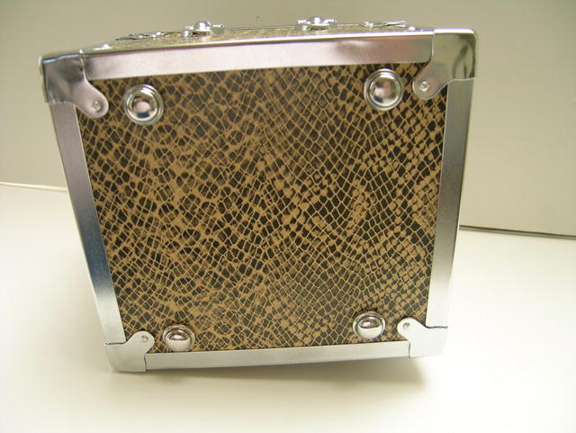 Square Box Metal and Snake Skin Handbag