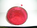 Victorian Cranberry Crackle Glass Pitcher