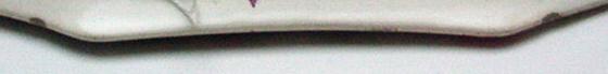 James Kent Dubarry Celery Dish