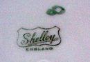 Shelley Queen Anne My Garden Sandwich Plate