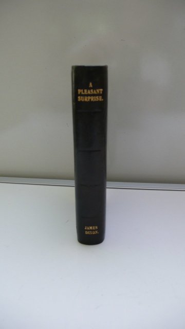 Silver Plate & Leather Book Flask