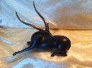 Loet Vanderveer Antelope