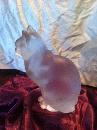 lalique sitting cat