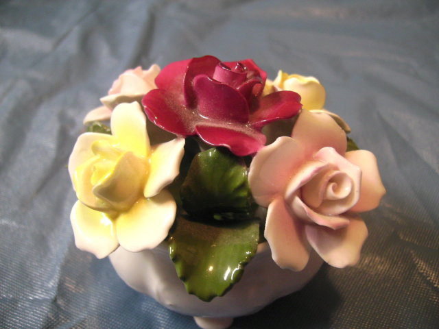 Aynsley June Roses - Mixed