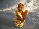 Harmony Kingdom - La Gardienne Angel