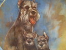 Schnauzer Puppies Decorative Plate by Leo Jansen from the My Favorite Pet Series