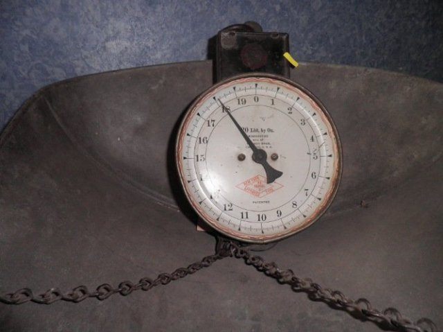 Scales B1325