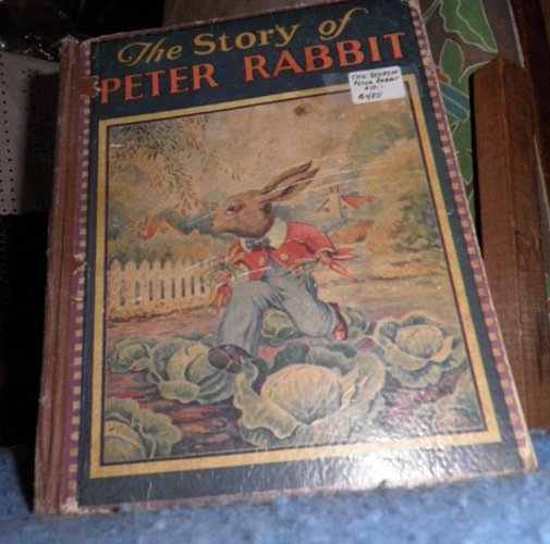 Book - The Story of Peter Rabbit B4811
