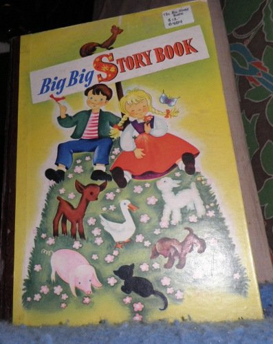 Book - Big Big Story Book B4814
