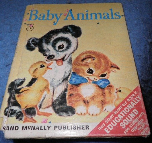 Book - Baby Animals