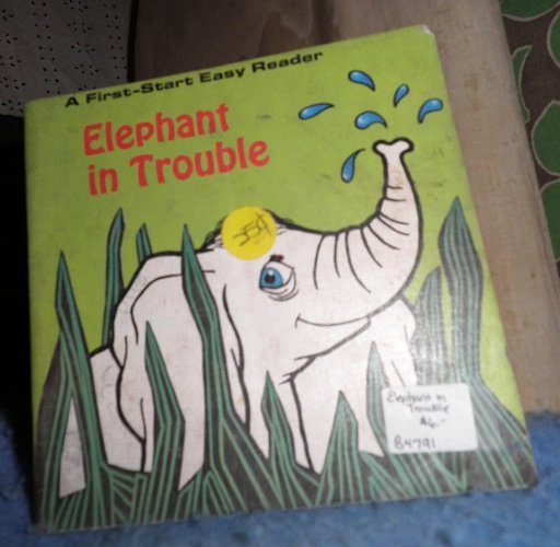 Book - Elephant in Trouble