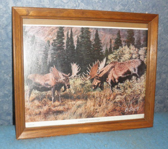 Picture Alaskan Moose