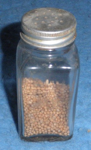 Shaker with Spice
