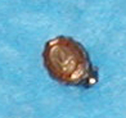 Pin