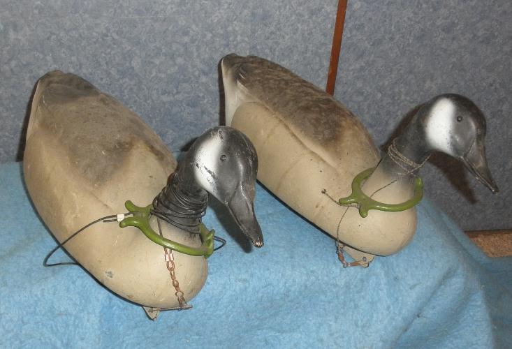 Decoy Duck DD372