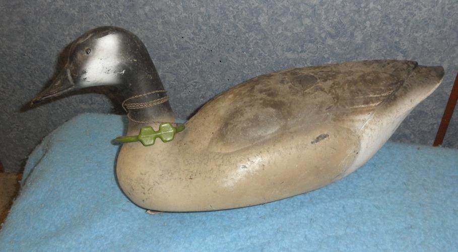 Decoy Duck DD372