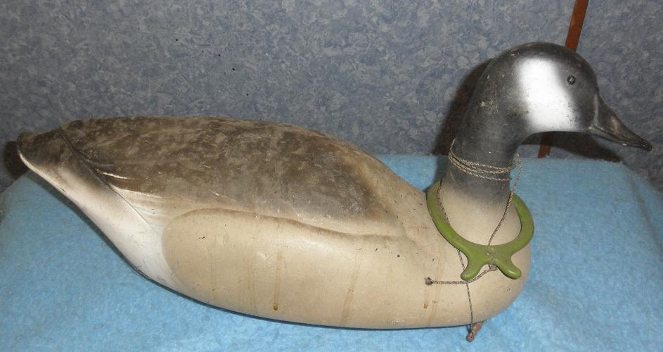 Decoy Duck DD372