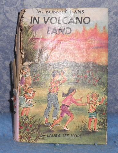 Bobbsey Twins Book Set (10)
