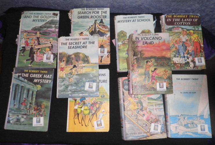 Bobbsey Twins Book Set (10)