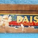 Box End - Daisy